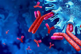 Rat brain gut peptide (BGP/Gehrelin)ELISA kit Rat brain gut peptide (BGP/Gehrelin)ELISA kit